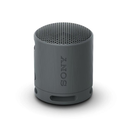 Sony SRS-XB100 | Portable speaker - Wireless - Bluetooth - IP67 - Black-Sonxplus Drummondville