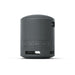 Sony SRS-XB100 | Portable speaker - Wireless - Bluetooth - IP67 - Black-Sonxplus Drummondville