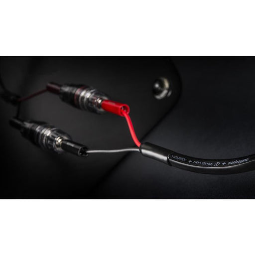 Audioquest Q2 | Speaker Cable - Long Grain Copper (LGC) inner conductor - 10 Feet-Sonxplus Drummondville