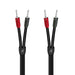 Audioquest Rocket 22 | Speaker Cable - 8 feet - BFAS-Sonxplus Drummondville