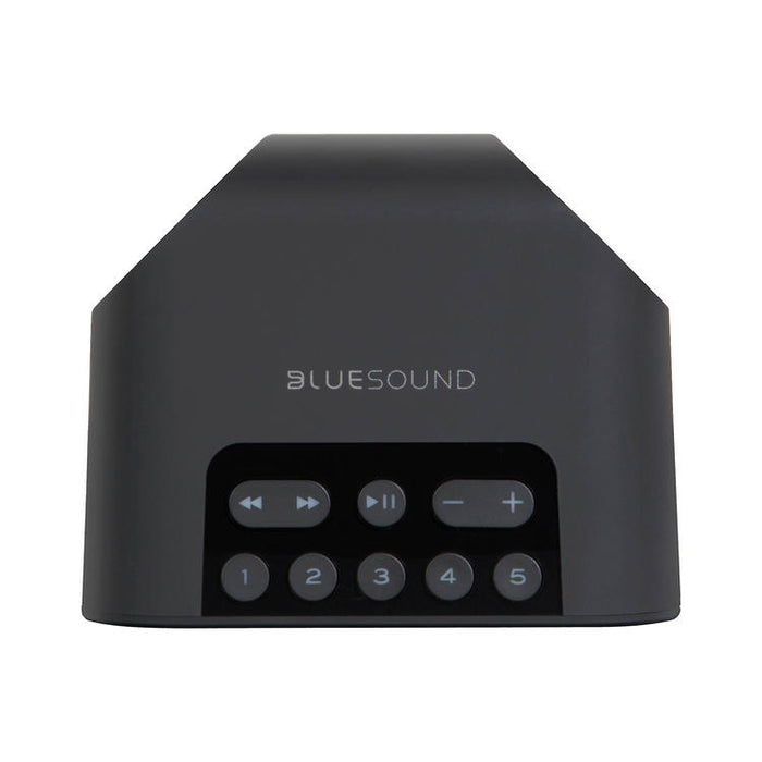 Bluesound PULSE FLEX 2i | Multi-Room Music Speakers - Wireless - Portable - Bluetooth - Black-Sonxplus Drummondville