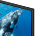 Samsung UN98DU9000FXZC | 98" LED TV - DU9000 Series - 4K Crystal UHD - 120Hz - HDR-Sonxplus Drummondville